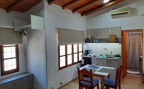Pehuenche Monoambiente